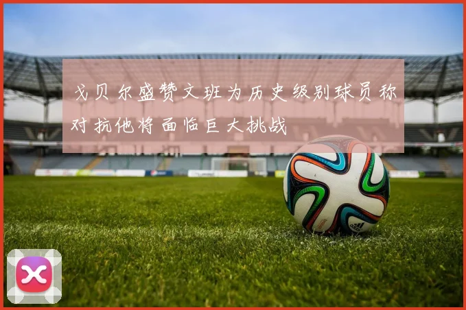 戈贝尔盛赞文班为历史级别球员称对抗他将面临巨大挑战